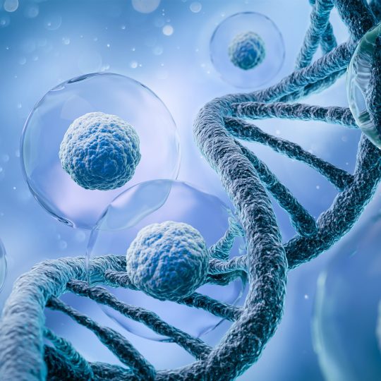 Therapeutic Experience