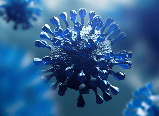 Therapeutic Experience