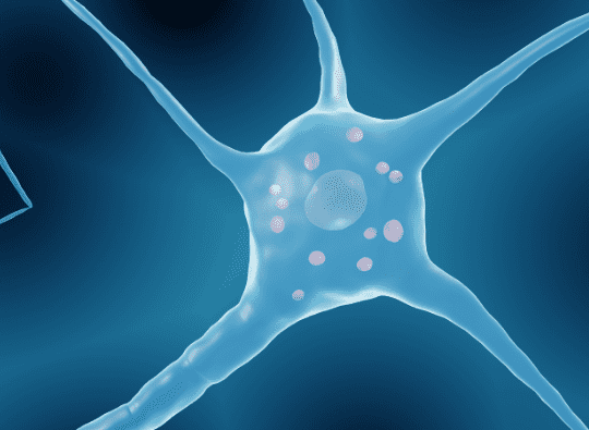 Therapeutic Experience