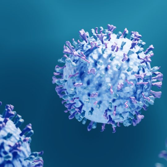 Therapeutic Experience